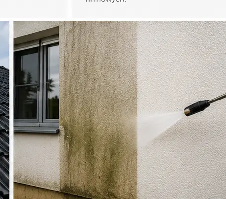 Mycie Elewacji Poznań